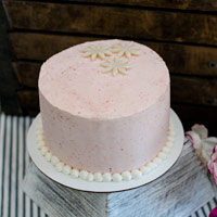 Cutie Cakes